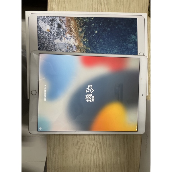 iPad Pro 10.5 wiFi 256G