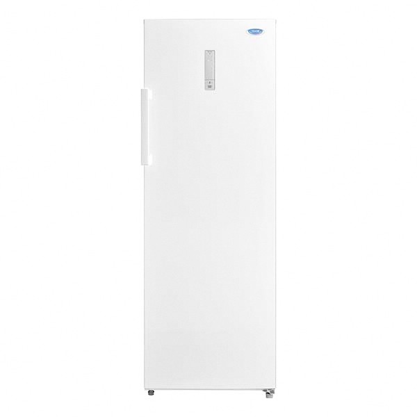 東元直立式冷凍櫃rl240sw的價格推薦 21年10月 比價比個夠biggo