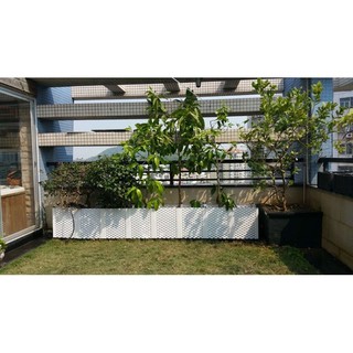 特大加深屋頂陽臺花園種菜花盆加深蔬菜種植箱菜園裝置花架無毒新品加高頂樓