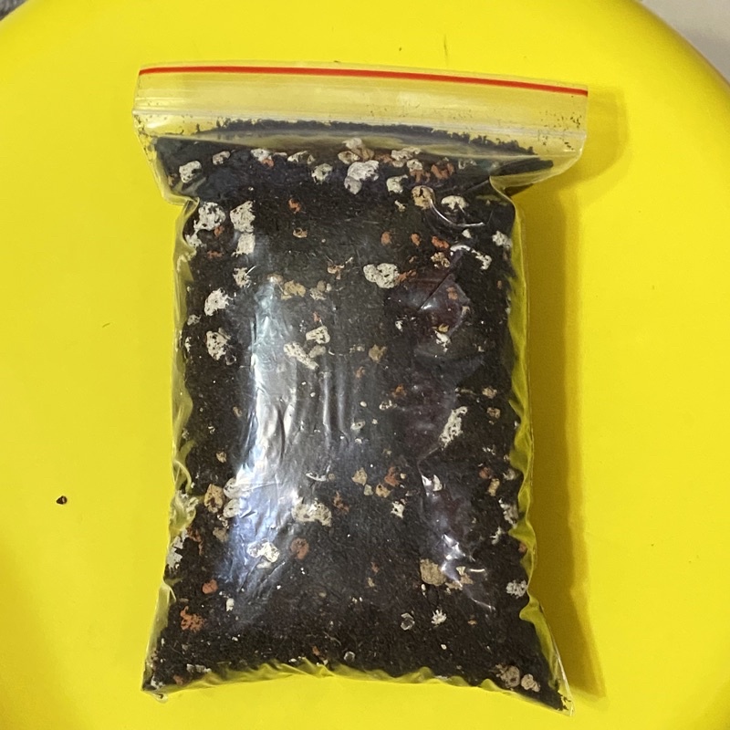 塊根/番杏科專用培養土（龜甲龍、圓葉山烏龜、奇異油柑、蜜橘糖球、姬紅小松⋯）育苗土/育苗塊