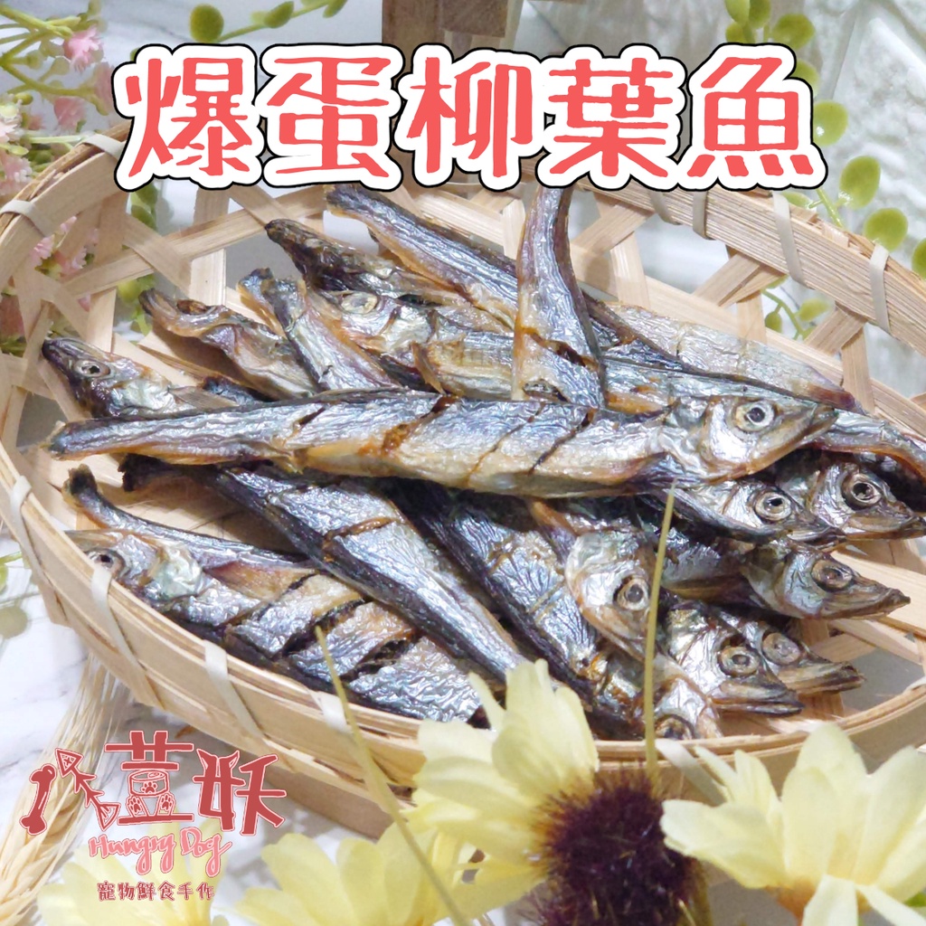 寵物手作爆蛋柳葉魚乾 八荳妖 寵物鮮食手作 狗零食貓零食貓點心高屏可面交 蝦皮購物