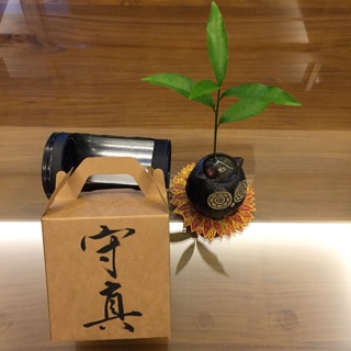 濾掛咖啡 禮盒