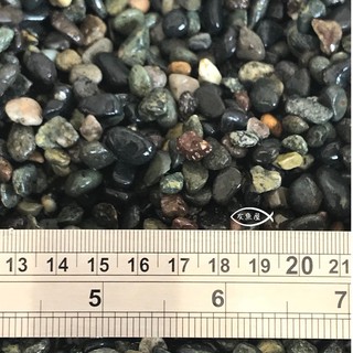 孔雀砂大磯沙砂石造景裝飾 友魚屋水族 Beecost