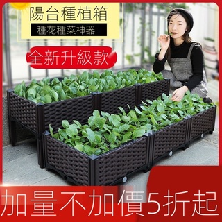 多功能組合式 蔬菜種植箱 種植盆 種菜盆 大花盆 種菜神器 長方形花盆 特大種菜箱 花架 烏龜飼養箱 花籃 菜籃
