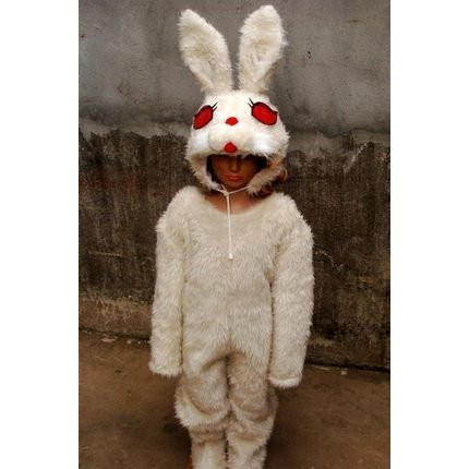 🌹手舞足蹈舞蹈用品🌹成人動物造型服/長絨兔子連體服/白兔表演服$900元
