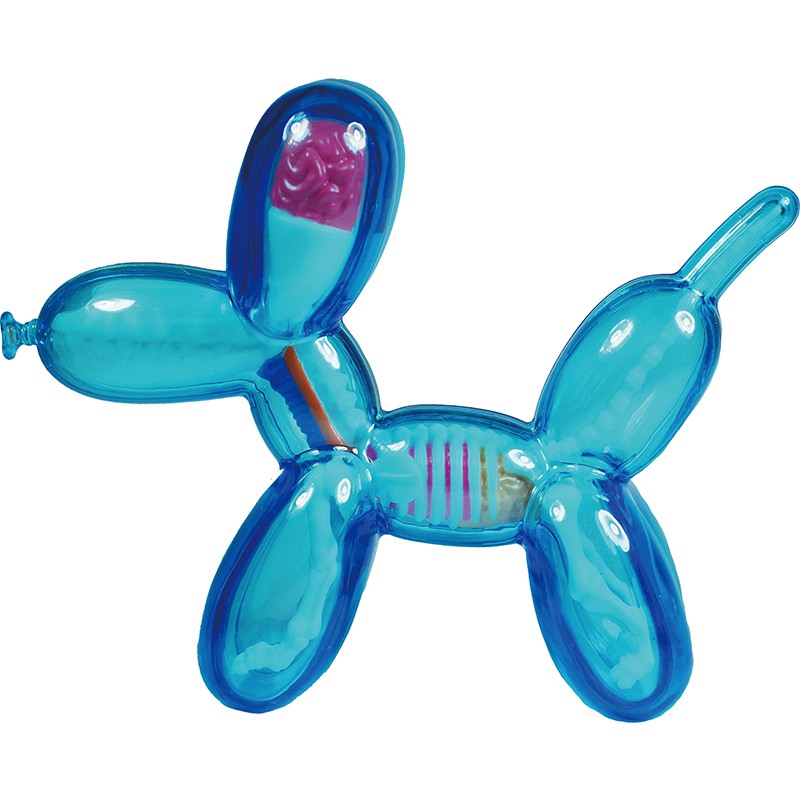 4D Master藝術家 Jason Freeny拼裝迷你透明藍氣球狗透視骨骼解剖