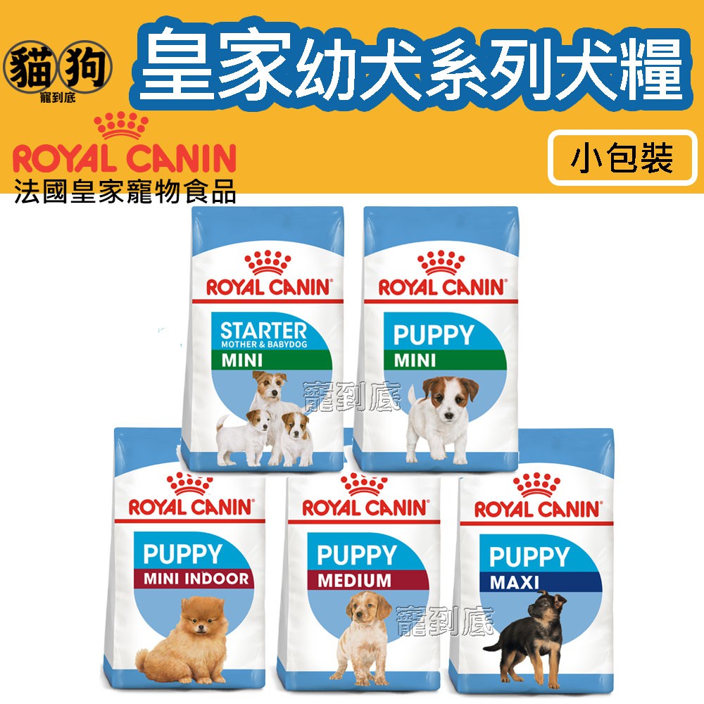 寵到底 法國皇家幼犬系列狗飼料小包 小型離乳犬 超小型幼犬 小型幼犬 小型室內幼犬 中型幼犬 大型幼犬 蝦皮購物
