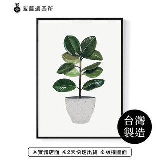 盆栽意趣 – 橡膠樹-畫/植物/餐桌佈置/拍照道具/咖啡廳/客廳