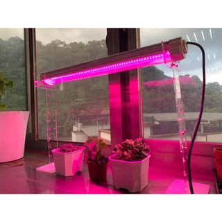 植物燈 led植物燈 臺灣製造 防水型 LED 紅藍混光 植物生長 3呎 燈管 三防燈 防水燈管