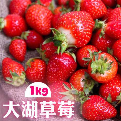 大湖草莓1kg/盒(預購商品，預定訂單成立後 14 日出貨)