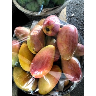 紅龍.西施.水蜜桃芒果在叢紅不含包裝實重10臺斤因為不使用農藥所以不會很紅很漂亮（此品種非常嬌貴）本農場是草樹共生農場