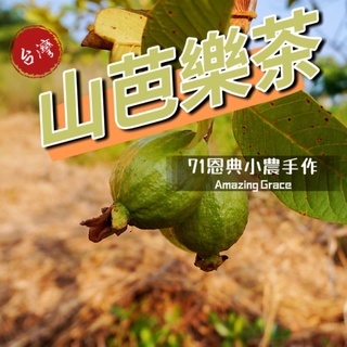 無糖山芭樂茶🇹🇼71恩典土芭樂茶21入 小農手作番石榴茶 臺灣製造大裡楊謹華超愛沖泡茶包 無咖啡因月半不再