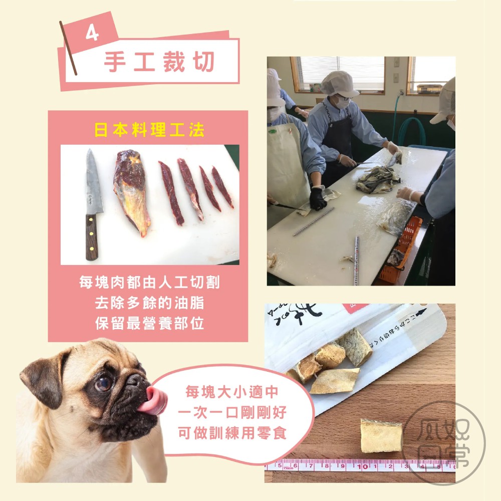 爪奴日常 干貝凍乾貓咪點心貓咪零食狗狗零食狗狗點心寵物點心肉乾魚乾日本michinokufarm 蝦皮購物