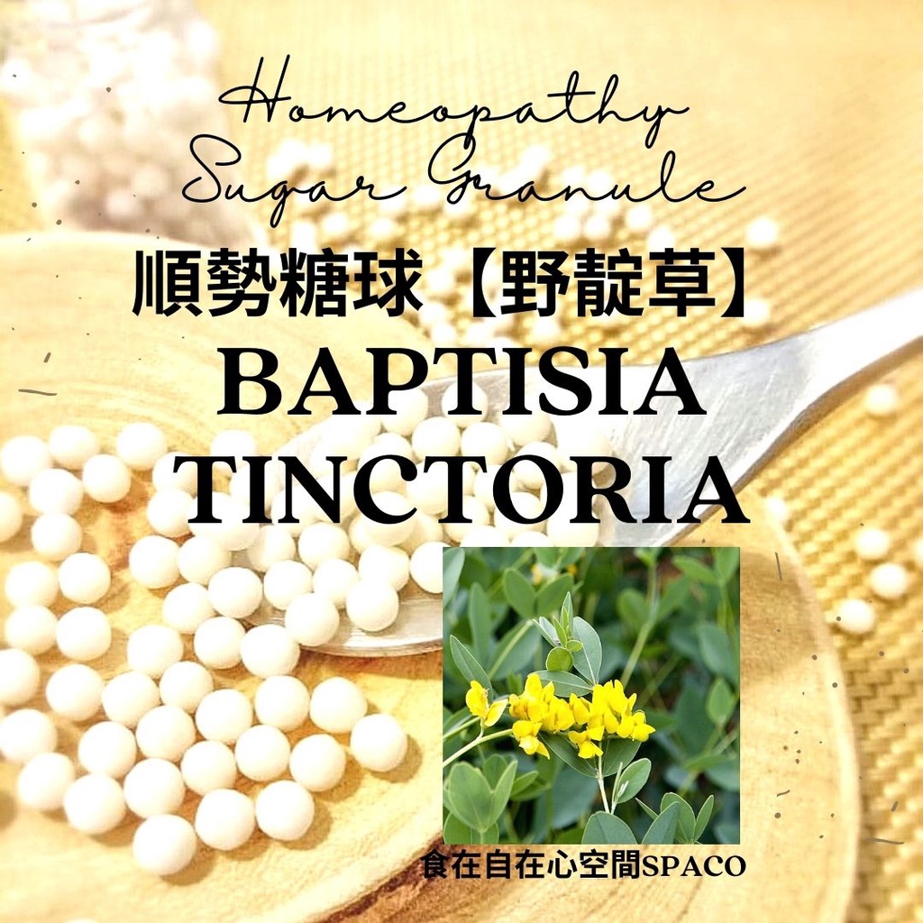 順勢糖球【野靛草●Baptisia Tinctoria】Homeopathic Granule 9克 食在自在心空間