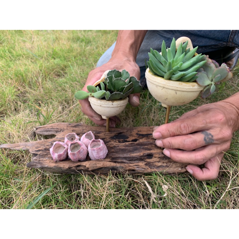 海廢創作植栽花器 多肉花器 觀葉植物花器創作 蝦皮購物