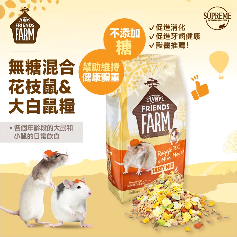 大白鼠 優惠推薦 22年9月 蝦皮購物台灣