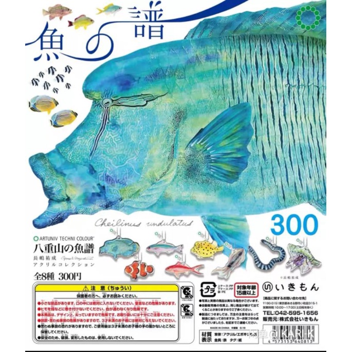 奇譚NTC 八重山的魚譜 蘇眉魚 (非海洋堂、水族館圖錄、原色圖鑑)