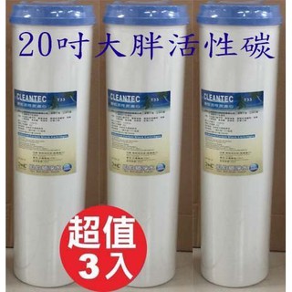 20吋BL大胖顆粒活性碳濾心T33/濾材/全屋式水塔過濾/商業用淨水器濾芯3入特惠
