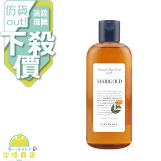 【正品保證】 肯邦 PAUL MITCHELL 金盞花洗髮精 240ML 720ML 1000ML 【柒陸商店