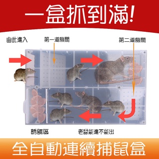 臺灣現貨連續捕鼠盒 全自動連續捕鼠器 鼠洞式通道捕鼠籠 獨立誘餌區老鼠籠 滅鼠器
