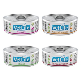 法米納Farmina VetLife獸醫寵愛天然處方貓罐 貓用 處方罐 85g 85克