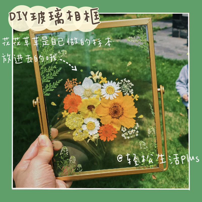 价格从 315 86 定格美丽 花標本ins風干花玻璃金屬相框創意復古立體diy植物標 Best Price Products