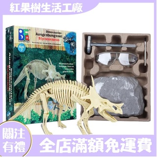 【紅果樹】恐龍化石考古挖掘玩具霸王龍翼龍骨架拼裝模型兒童手工DIY男禮物