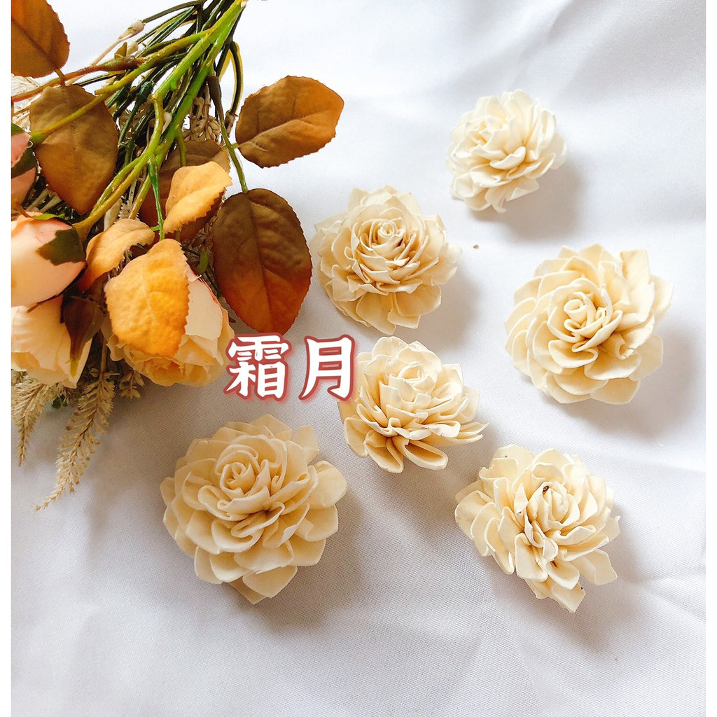 手作乾燥花素材 拍賣 評價與ptt熱推商品 21年6月 飛比價格