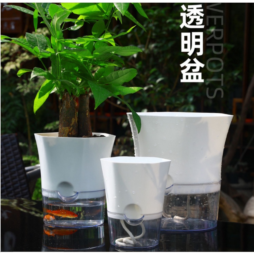 透明塑膠花盆的價格推薦 21年7月 比價比個夠biggo