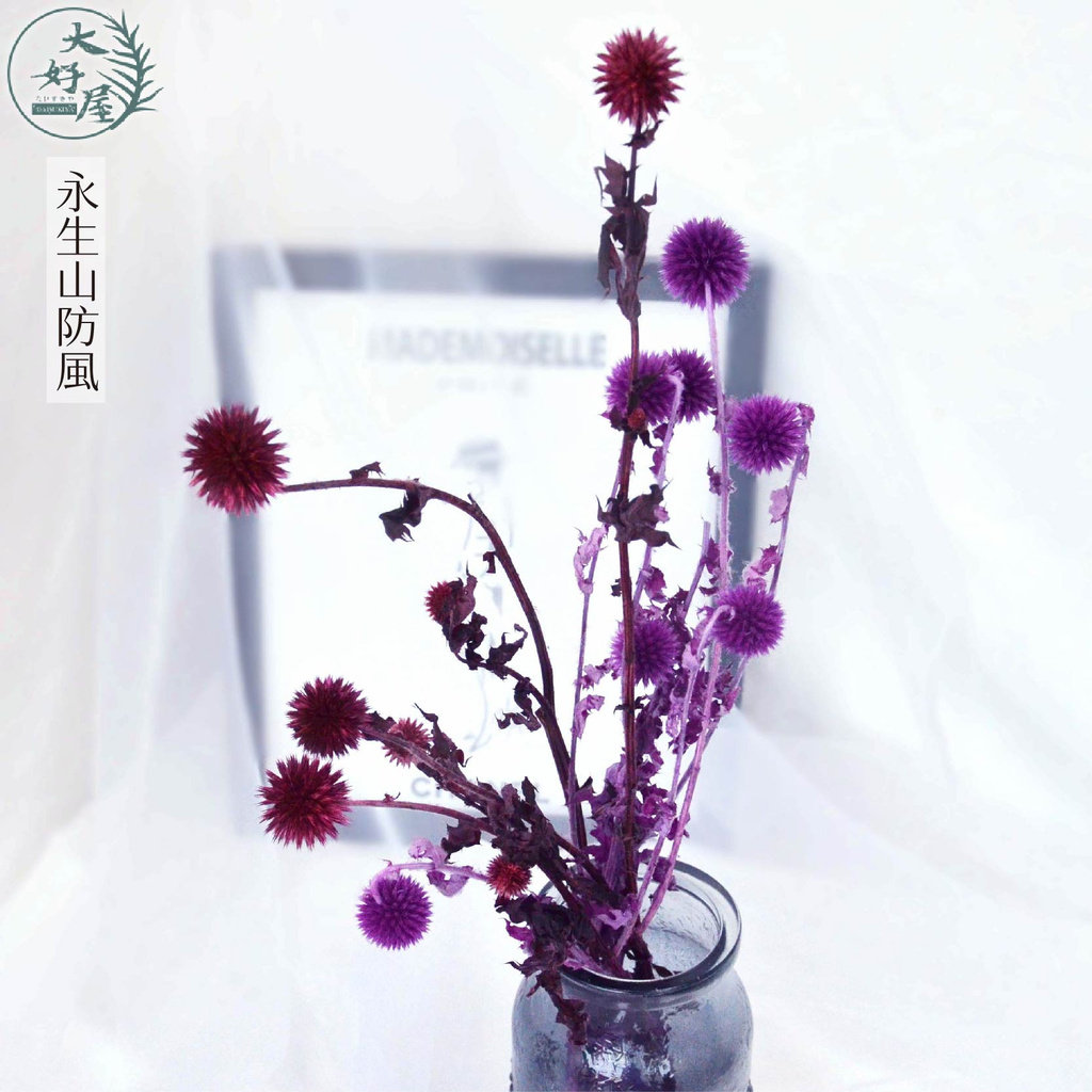 大好屋台灣現貨高cp質一束10朵裝永生山防風乾燥花玻璃花盅永生花盆花插花diy手做手工花花藝捧花