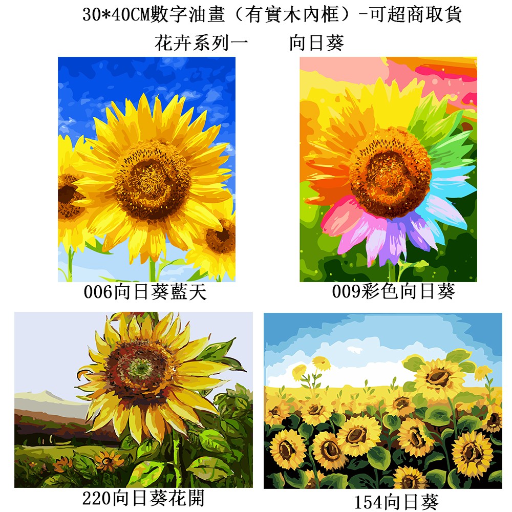 台灣現貨數字油畫30×40cm可超商取貨 -花卉系列一   向日葵