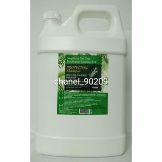 💥東欣 MONSA 夢娜麗莎💥無患子茶樹尤加利精油防護洗髮精/沐浴乳4000ml