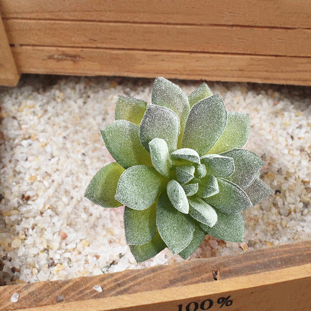 Lesonss Mini 人造肉質植絨植物未上所得的人造多肉植物裝飾 蝦皮購物