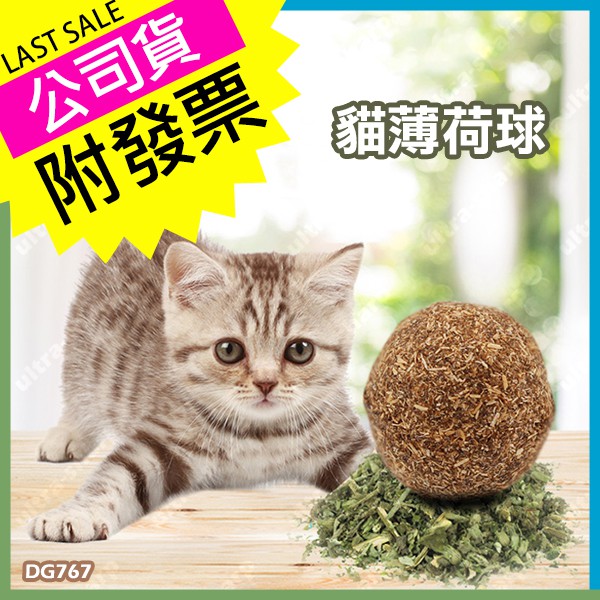天然貓薄荷球台灣公司附發票貓咪薄荷草玩具貓興奮用品貓草球urs 蝦皮購物