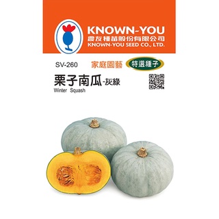 《農友種苗》特選蔬果種子 SV-260栗子南瓜
