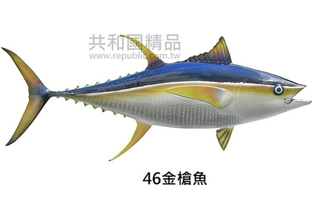 鮪魚模型的價格推薦- 2021年11月 比價比個夠BigGo