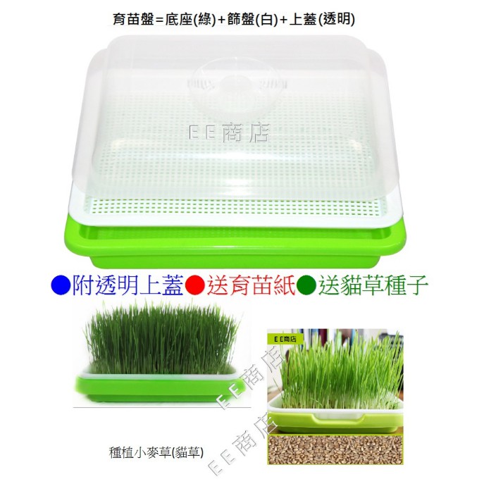 Ee商店無土栽培好用水耕盤貓草育苗盤種植盤含蓋子豆芽菜苜蓿苗小麥草豆類cat Grass Catnip 蝦皮購物