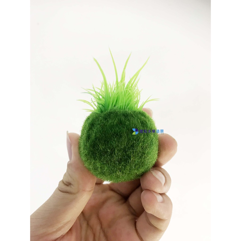 墨耘 Nisso尼索 仿真療癒系 苔玉 1顆 350 水族裝飾飾品假水草水族交換禮物 蝦皮購物
