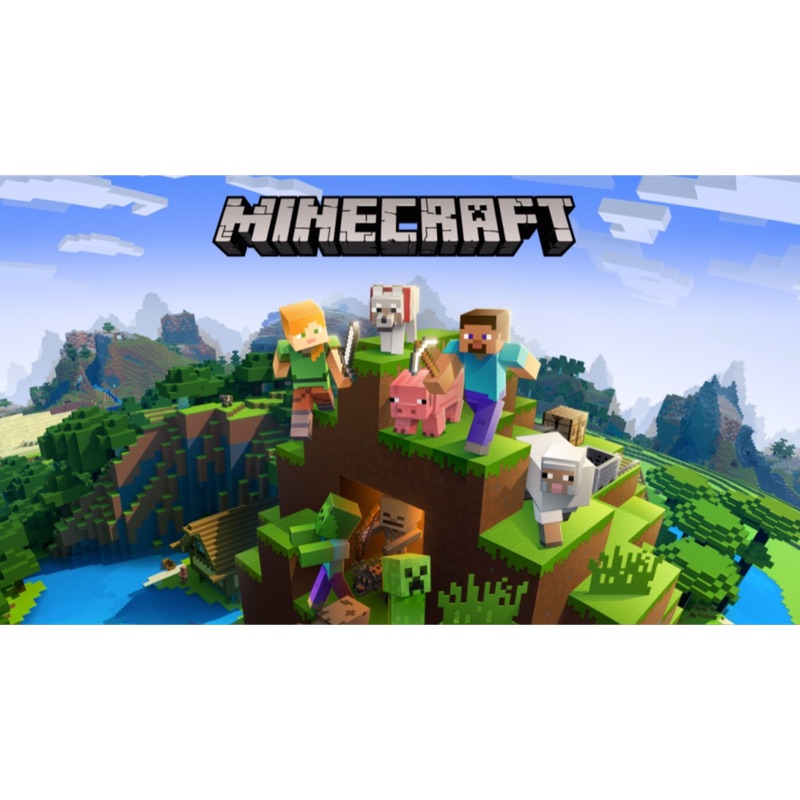 Minecraft 可改帳密 蝦皮購物