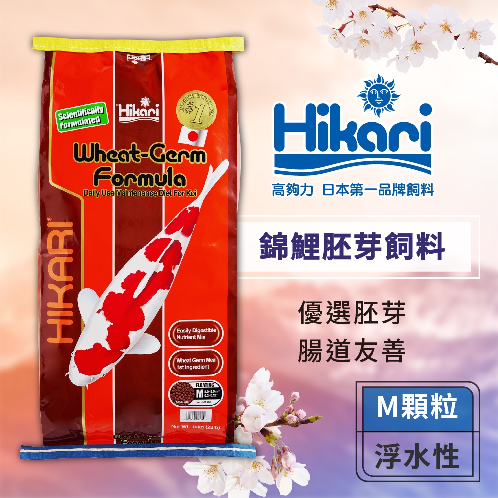 Hikari 高夠力 錦鯉胚芽飼料 M顆粒 10kg 適用於錦鯉及大型金魚 經濟實惠 健康消化