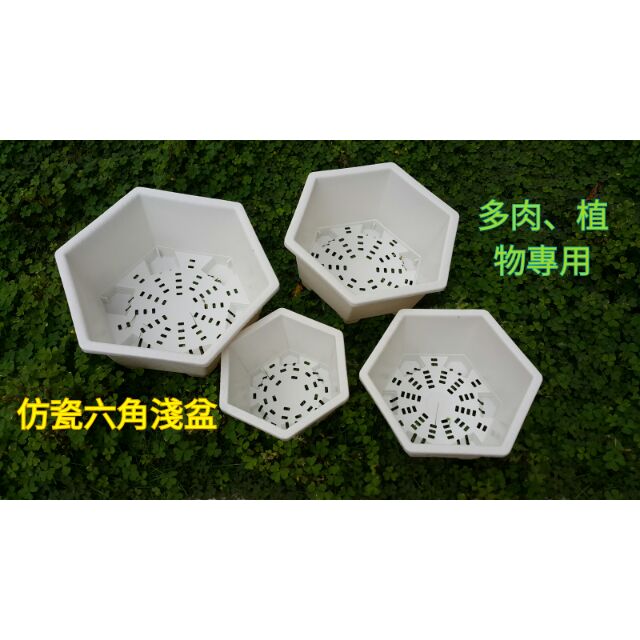【弘藝園藝】仿瓷六角淺盆網底盆4、5、6、7、8吋