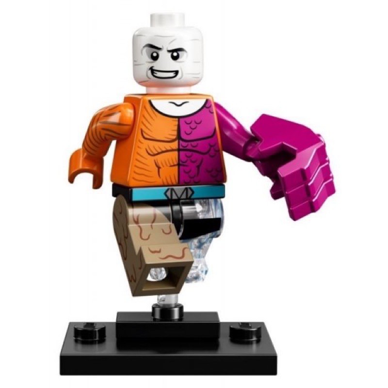 [台中翔智積木］LEGO 樂高 DC超級英雄人偶包 71026 12號 元素人