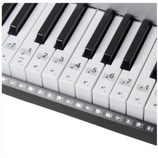 樂器之家 88鍵 61鍵 透明鋼琴貼紙 電子琴 鍵盤樂器可用 快速找到鍵位 初學幫手 簡譜 五線譜 琴鍵貼紙