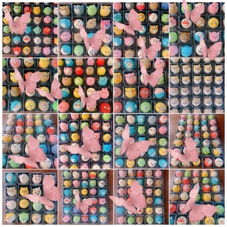 造型蛋糕/不挑50以上/戚風蛋糕/