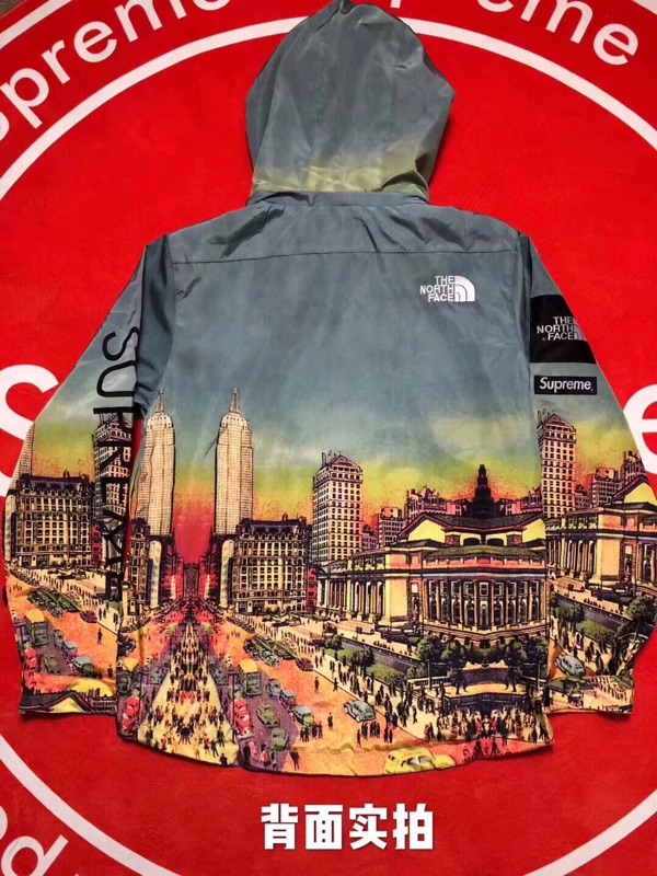 supreme north face summit series