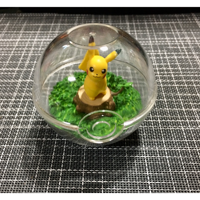 Pokémon 神奇寶貝 精靈寶可夢生態球 rement 盒玩