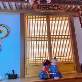 寵物衣服.寵物變裝.寵物狗狗.貓咪韓服.寵物傳統韓服.寵物衣服.寵物韓服.狗韓服.貓韓服