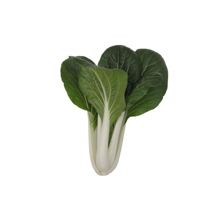 【蔬菜種子S282】高原奶油白菜~ 高腳型，葉柄雪白肥厚，葉片深綠色，有光澤，耐病，適應性廣，株型直立，栽培容易。