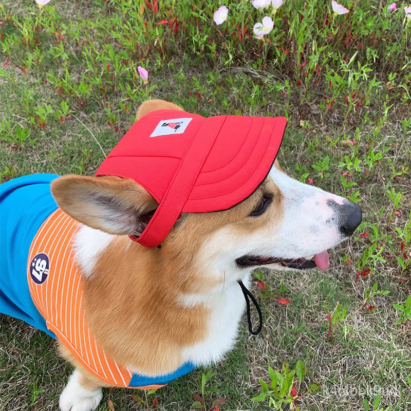 免運 狗狗棒球帽夏季遮陽防曬鴨舌帽子寵物大中小型犬柯基邊牧金毛泰迪 蝦皮購物