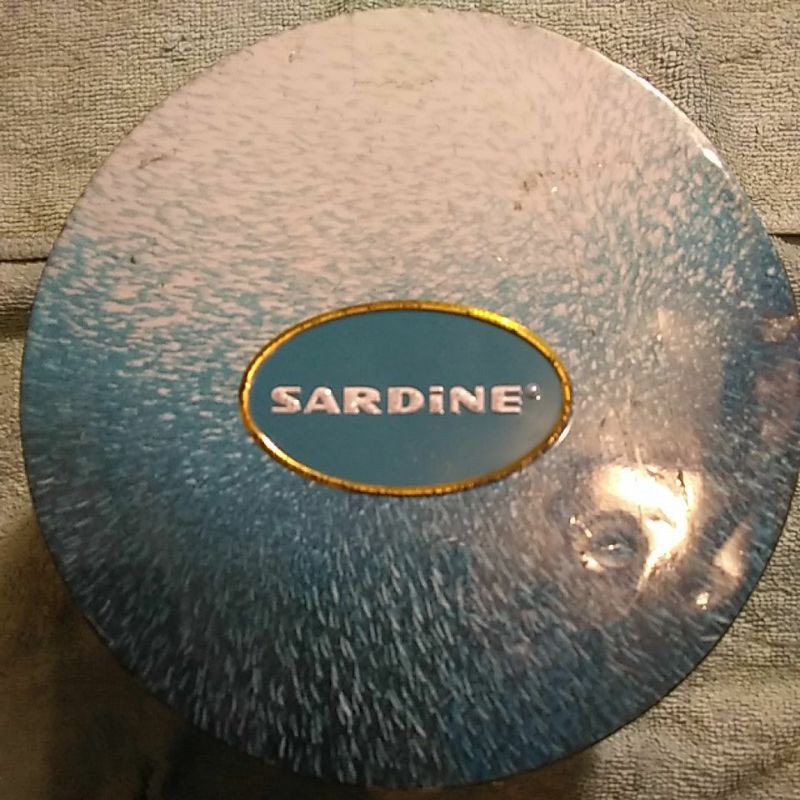 SARDUNE 沙丁魚f9 金屬藍芽喇叭 圓盒（娃娃機商品）